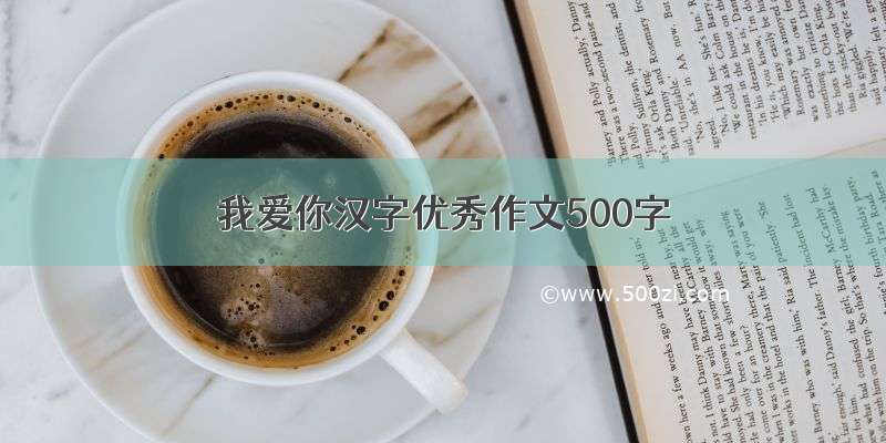 我爱你汉字优秀作文500字