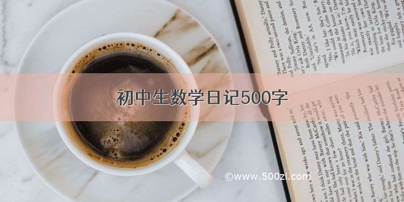 初中生数学日记500字