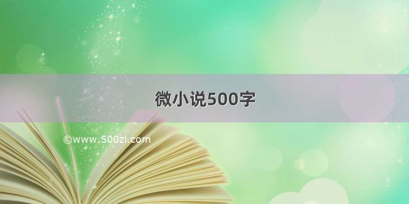 微小说500字