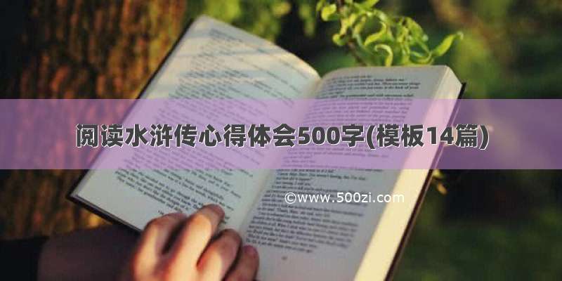 阅读水浒传心得体会500字(模板14篇)