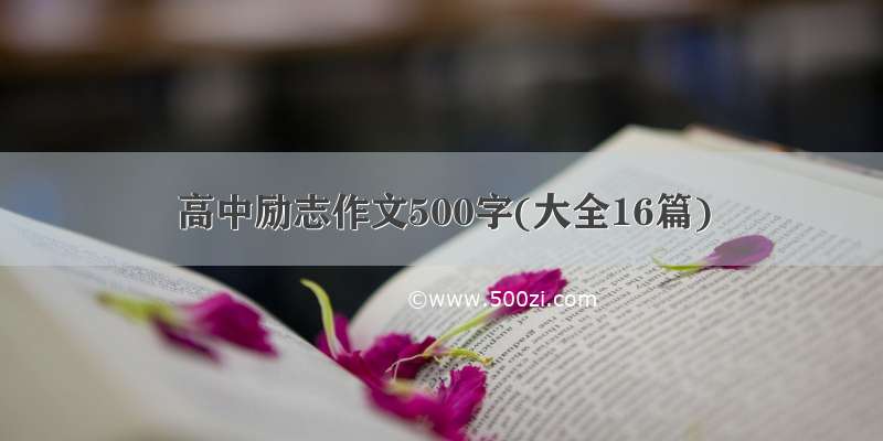 高中励志作文500字(大全16篇)