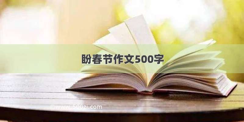 盼春节作文500字