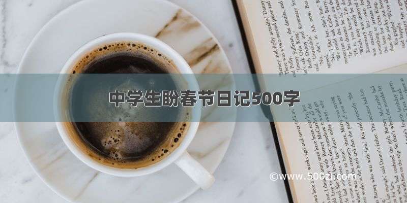 中学生盼春节日记500字