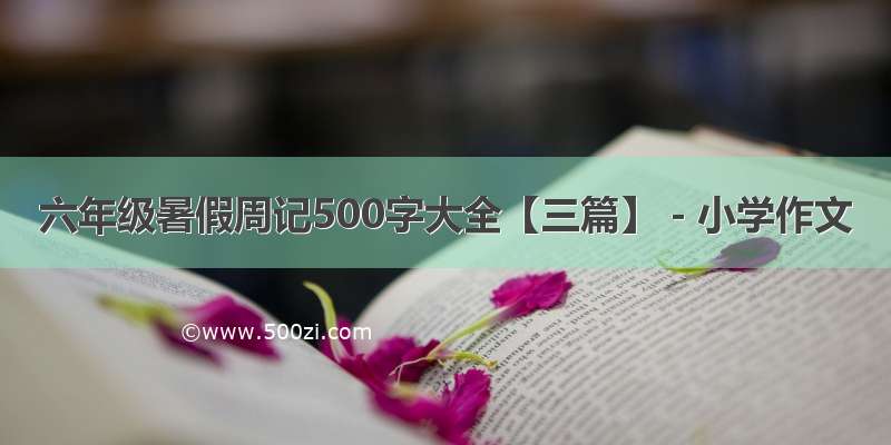 六年级暑假周记500字大全【三篇】 - 小学作文