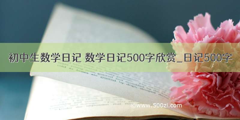 初中生数学日记 数学日记500字欣赏_日记500字