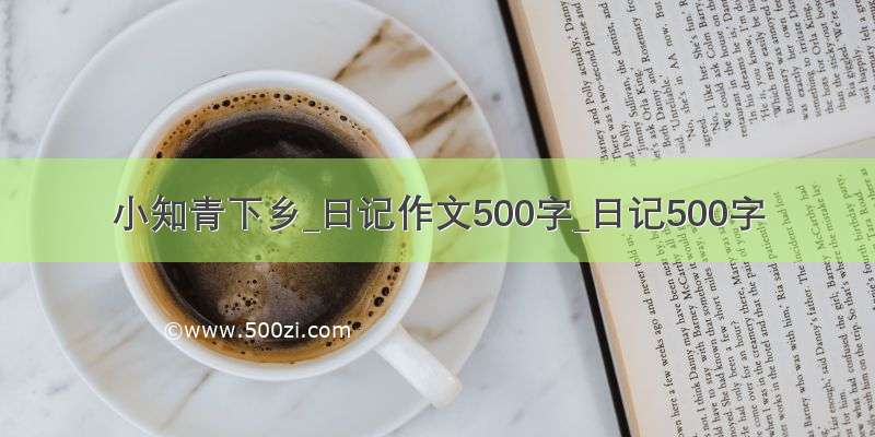 小知青下乡_日记作文500字_日记500字