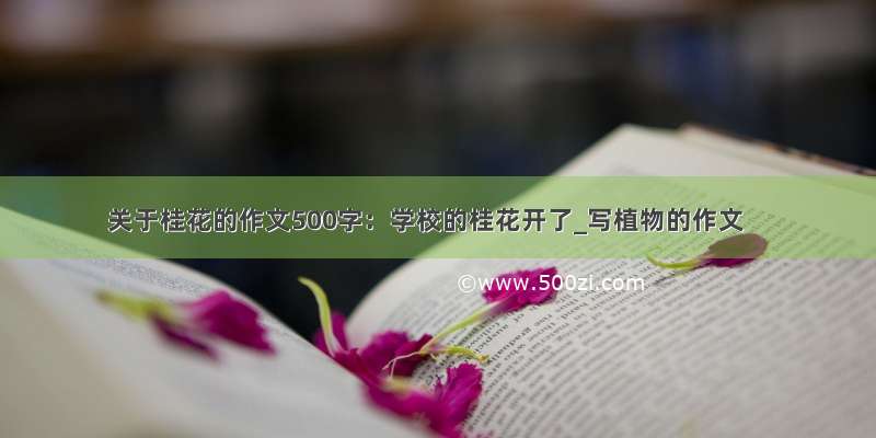 关于桂花的作文500字：学校的桂花开了_写植物的作文