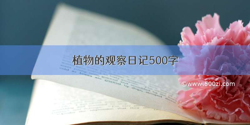 植物的观察日记500字