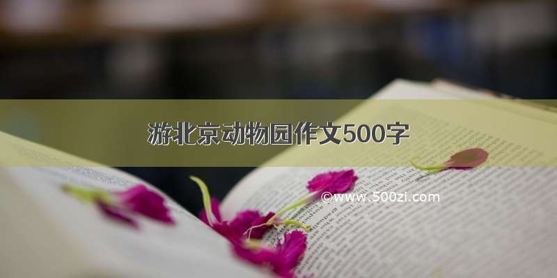 游北京动物园作文500字