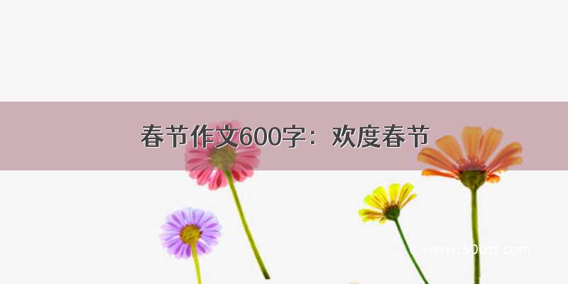 春节作文600字：欢度春节