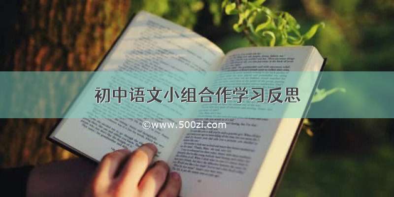 初中语文小组合作学习反思