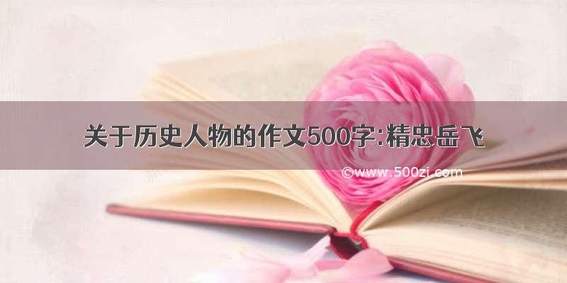 关于历史人物的作文500字:精忠岳飞