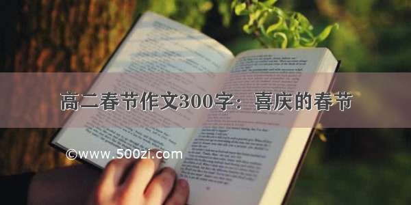 高二春节作文300字：喜庆的春节