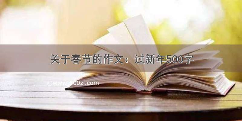 关于春节的作文：过新年500字